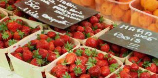 Fragole vendita