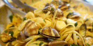 Pasta cremosa con le vongole