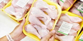 Pollo confezionato salmonella