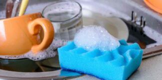 Spugne in cucina quando si cambiano - RicettaSprint