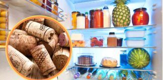 Tappo di sughero nel frigo - RicettaSprint
