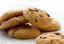 Biscotto inzuppo cioccolato nocciole