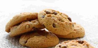 Biscotto inzuppo cioccolato nocciole