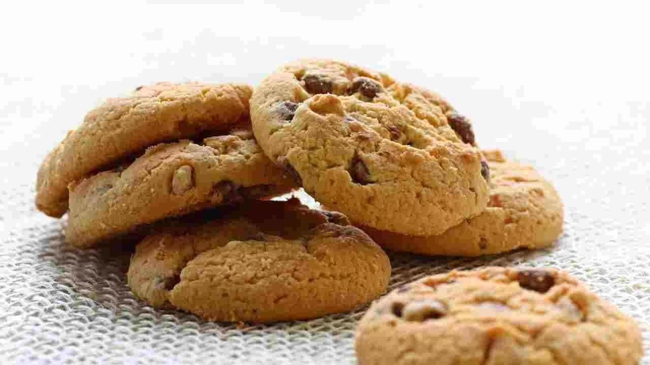 Biscotto inzuppo cioccolato nocciole