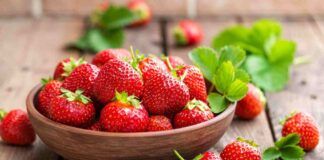 Conservare le fragole Ricetta Sprint