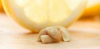 Cosa fare con i semi del limone - RicettaSprint