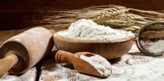 Farina di Manitoba Ricetta Sprint
