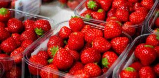 Fragole vaschette