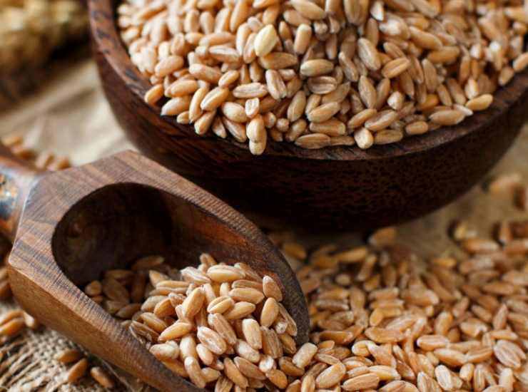 Insalata di farro light Ricetta Sprint