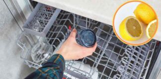 Lavastoviglie metti dentro un limone - RicettaSprint