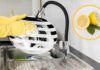 Limone per lavare i piatti - RicettaSprint