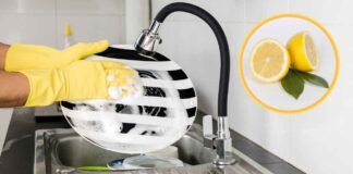 Limone per lavare i piatti - RicettaSprint