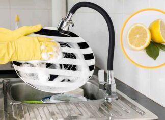Limone per lavare i piatti - RicettaSprint