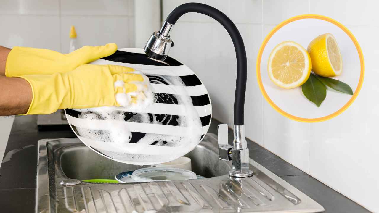 Limone per lavare i piatti - RicettaSprint