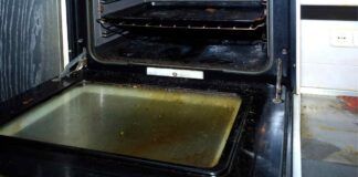 Macchie e puzza olio bruciato nel forno Ricetta Sprint