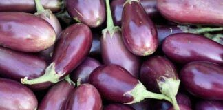 Melanzane