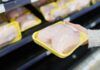 Petto pollo strisce bianche