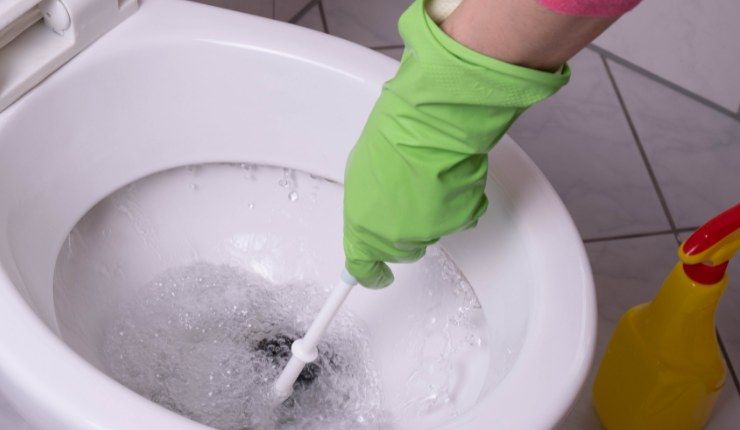 Pulire il wc con lo spazzolone Ricetta Sprint