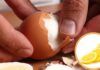 Uova sode metti una fetta di limone - RicettaSprint
