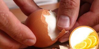 Uova sode metti una fetta di limone - RicettaSprint