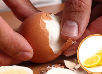 Uova sode metti una fetta di limone - RicettaSprint