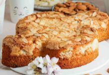 Colomba facile e veloce