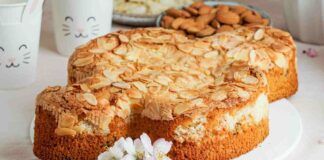 Colomba facile e veloce