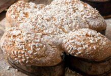 La ricetta di questa colomba l’ho trovata nel ricettario della nonna, l’ho modificata rendendola adatta agli intolleranti al lattosio, così vado su colpo sicuro Colomba fatta in casa senza lattosio RicettaSprint