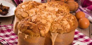 Colomba salata