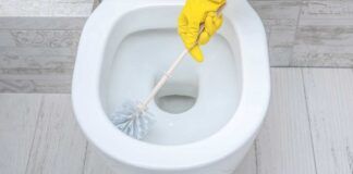 Come pulire lo scopino del wc RicettaSprint