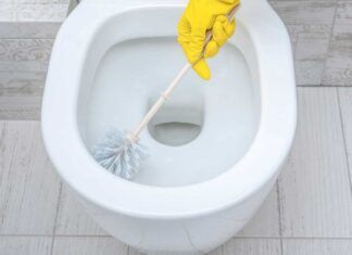 Come pulire lo scopino del wc RicettaSprint
