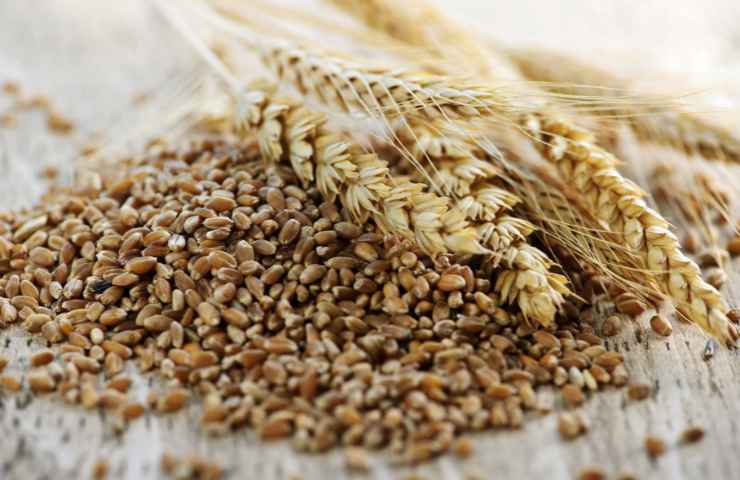 Cereali integrali