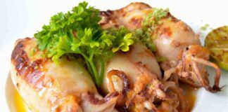 calamari ripieni alla siciliana ricettasprint