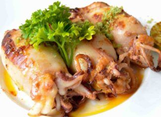 calamari ripieni alla siciliana ricettasprint