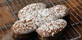 colomba