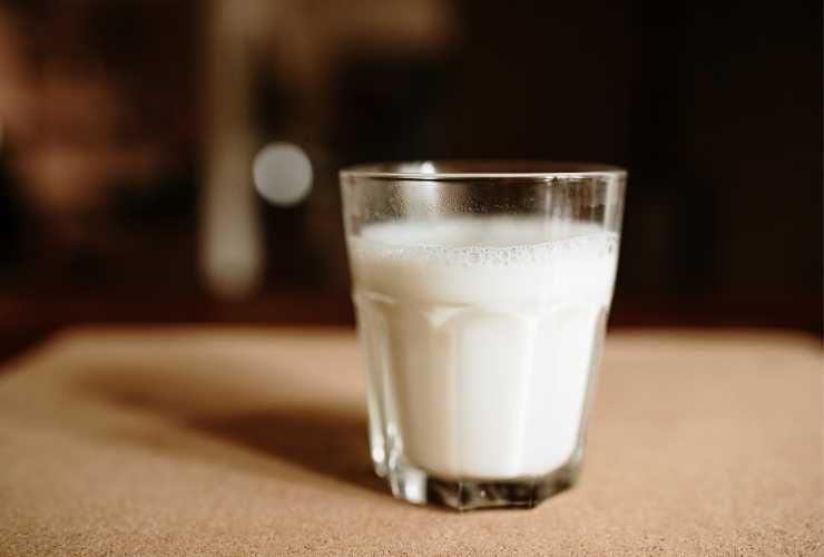 latte