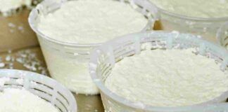 riconoscere la ricotta fresca