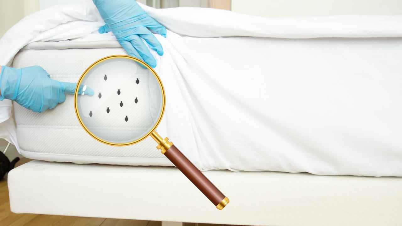 Acari della polvere materasso RicettaSprint