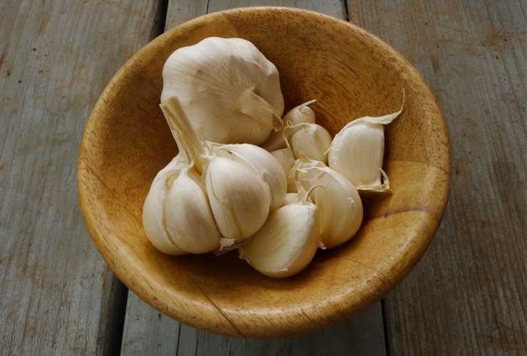 Aglio per attenuare i sintomi dell'allergia RicettaSprint