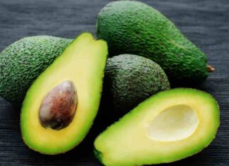 Avocado