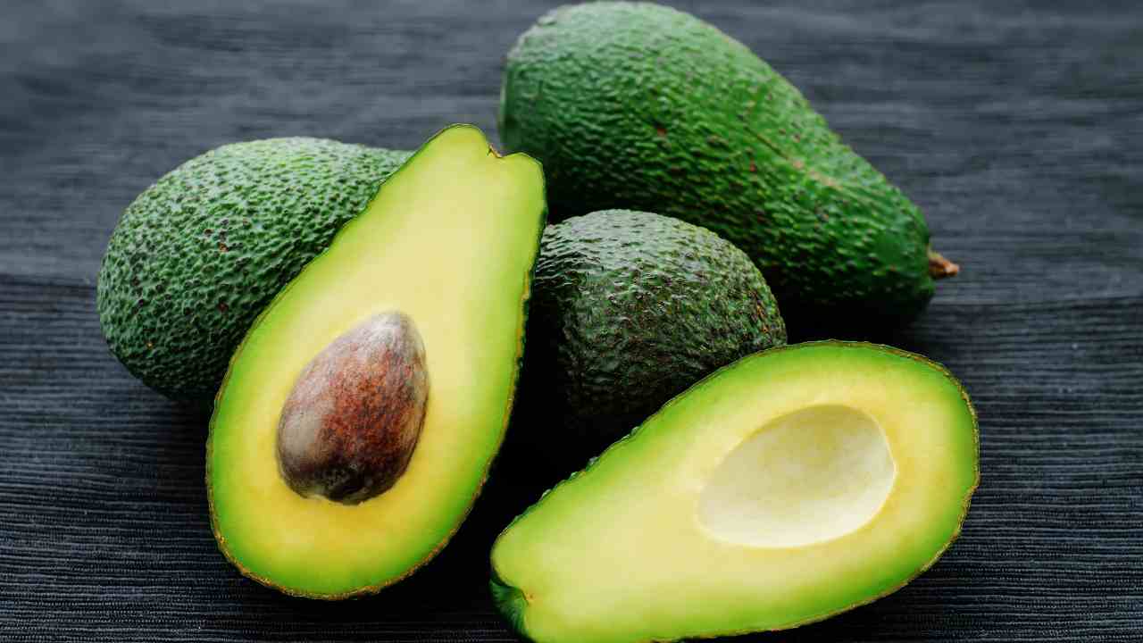 Avocado