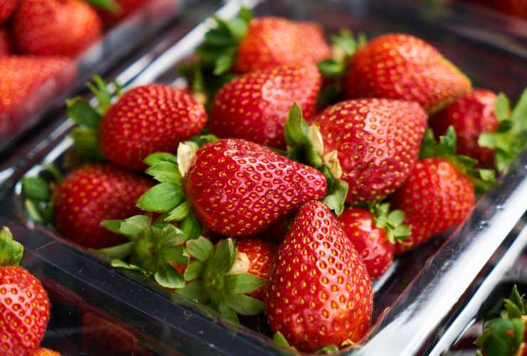 Dolce al bicchiere con fragole - RicettaSprint