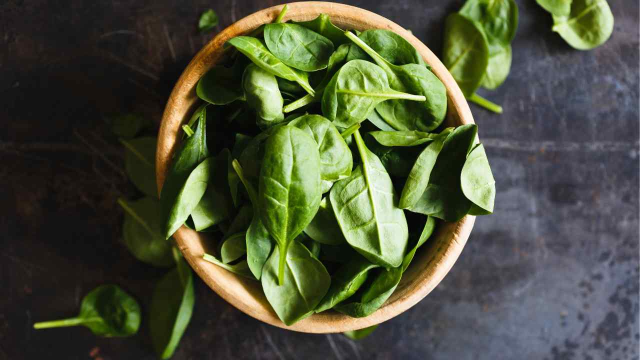 Foglie di basilico