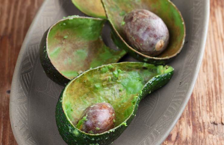 Scorze di avocado