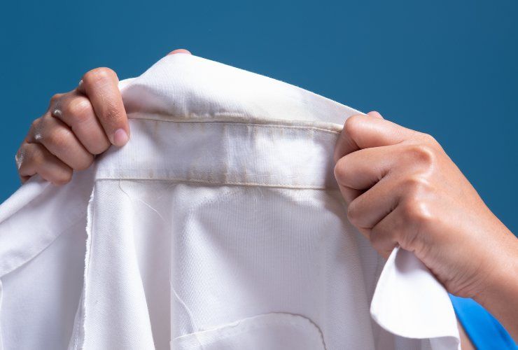 Collo sporco della camicia RicettaSprint