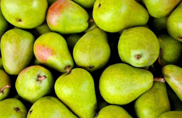 Pere mature