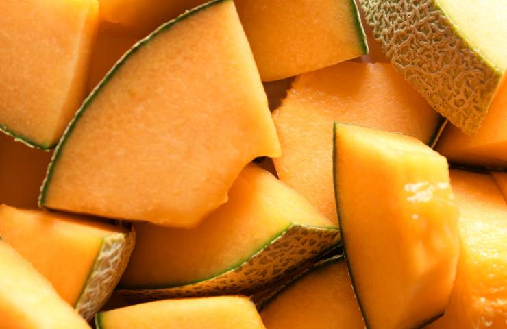 Melone cantalupo