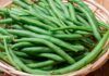 Come conservare i fagiolini RicettaSprint