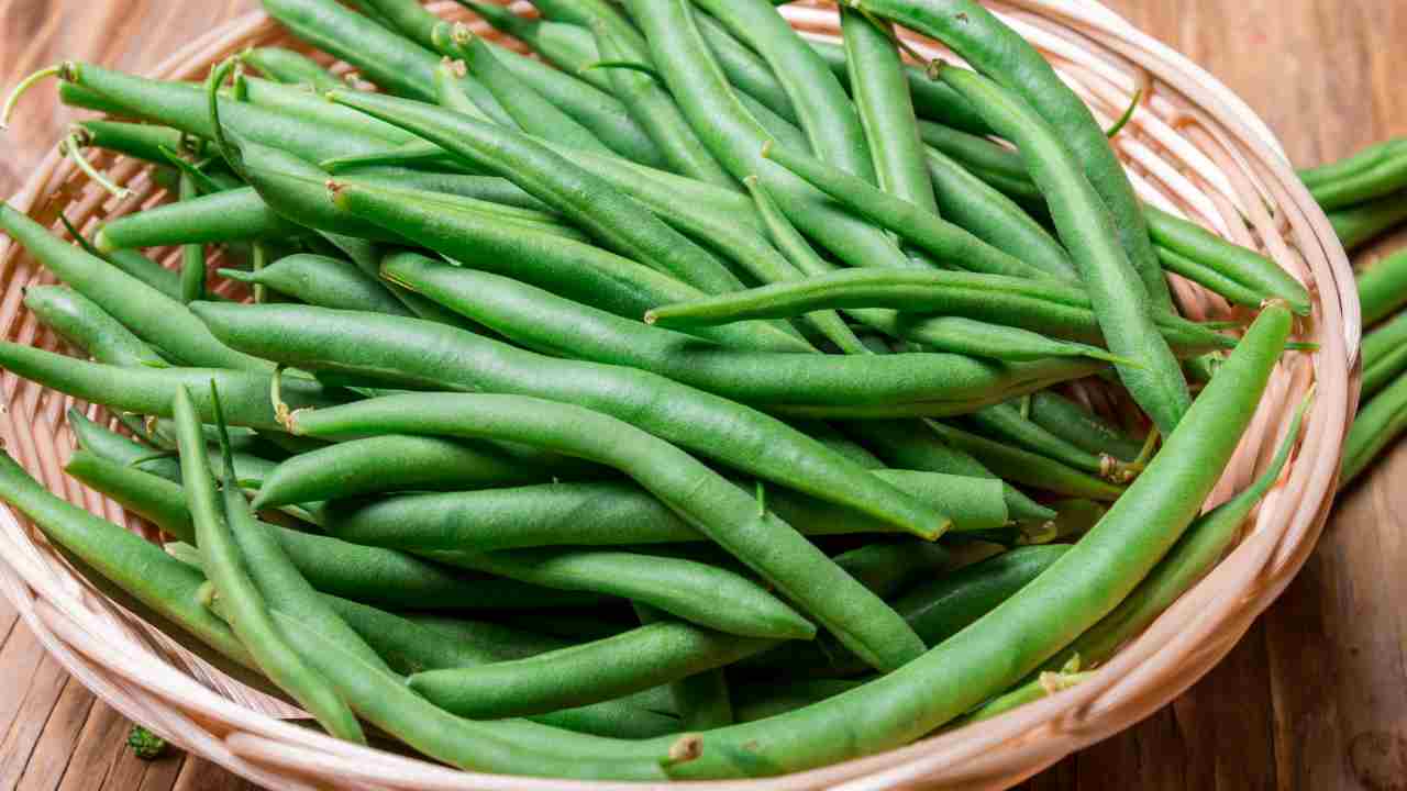 Come conservare i fagiolini RicettaSprint