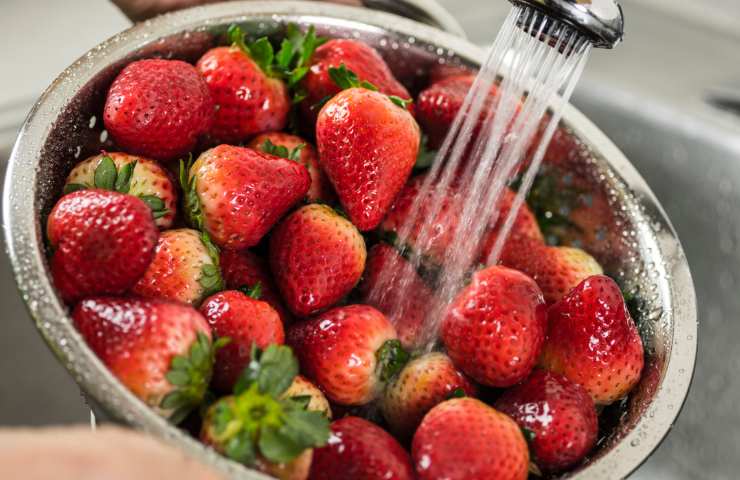 Fragole sciacquate